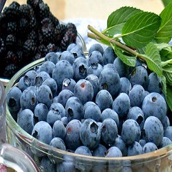 Debunking superfoods